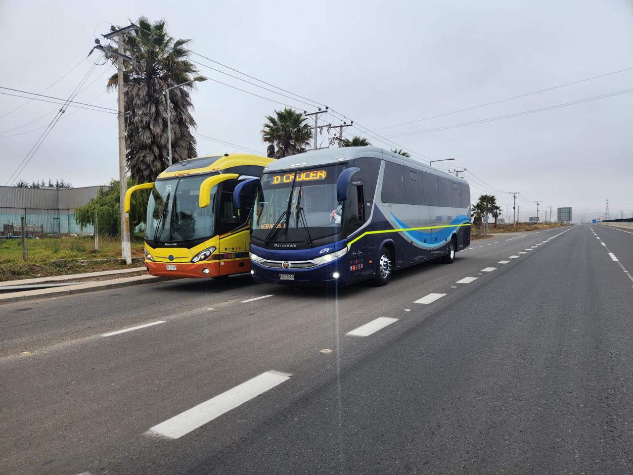 WhatsApp Image 2025-01-07 at 16.50.39 (1)